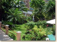 /album/a2/diseno-plantas-jpg1/